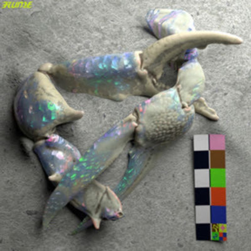 Flume Debuts LET YOU KNOW With London Grammar Image
