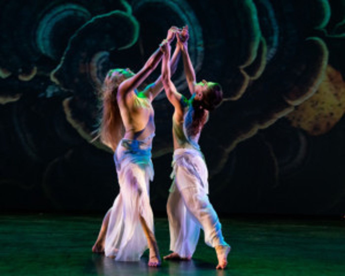 Review: Stimulating dance festival WOMEN/CREATE! at Live Arts New York Review: Stimulating dance festival WOMEN/CREATE! at Live Arts New York Image