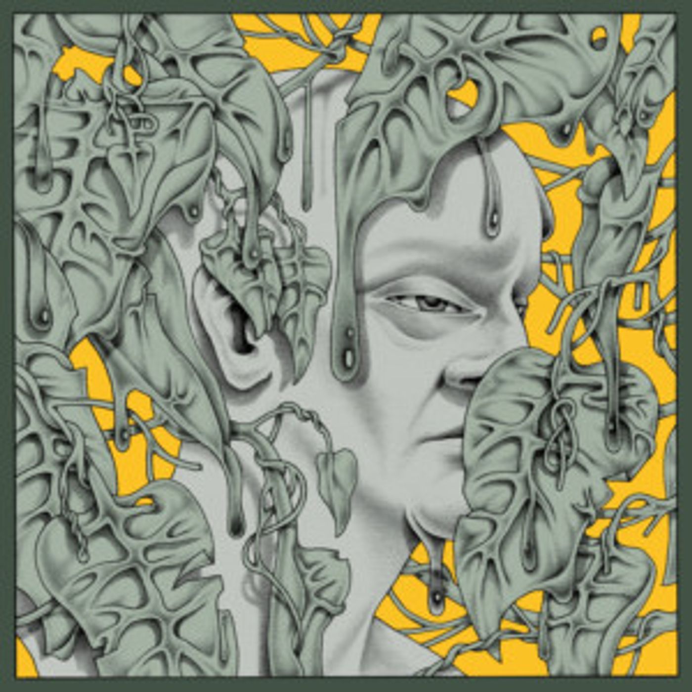 BESHKEN Shares Debut Album AISLE OF PALM  Image