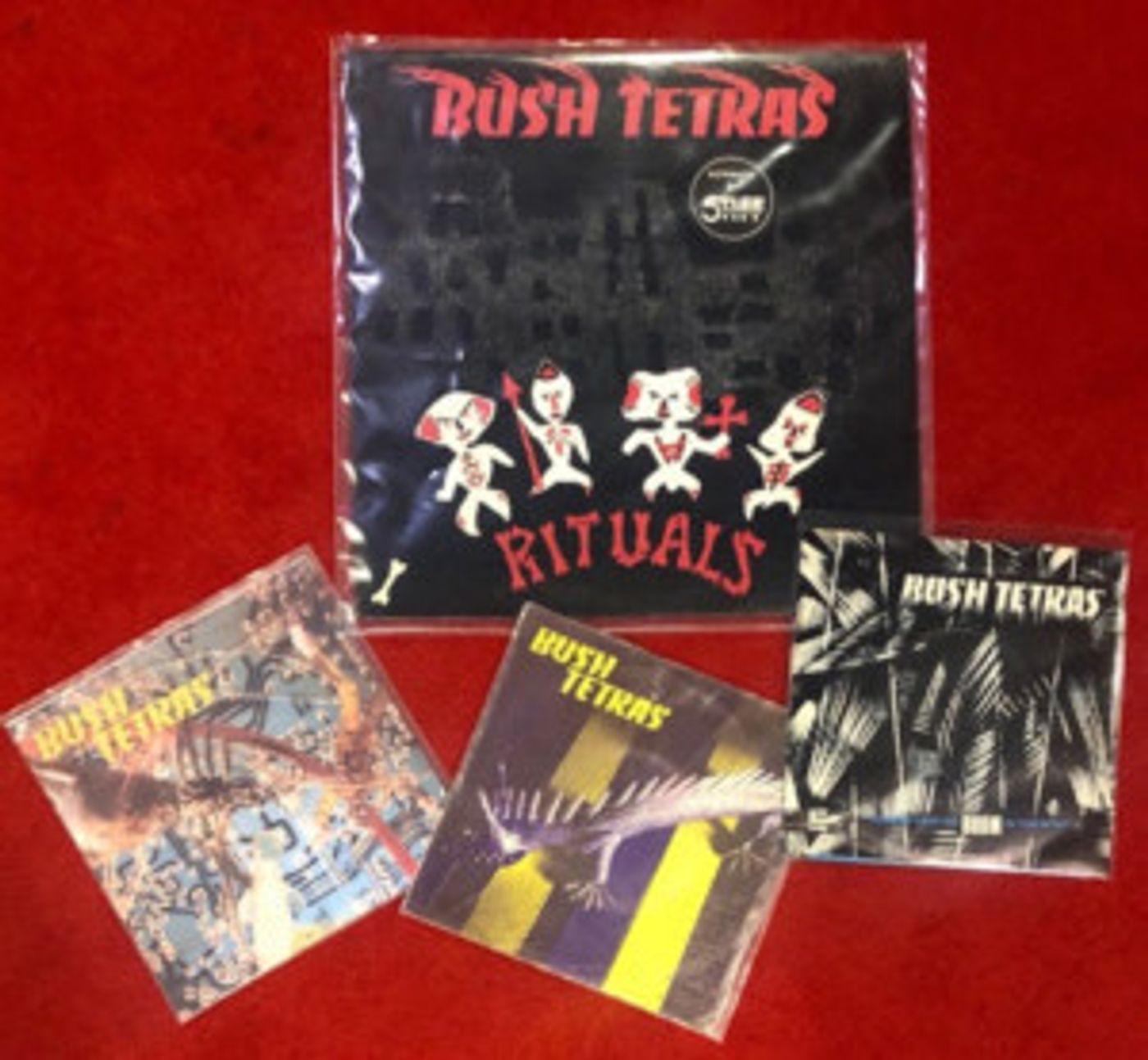 Bush Tetras Announces New 7' on Third Man Records Bush Tetras Announces New 7' on Third Man Records Image