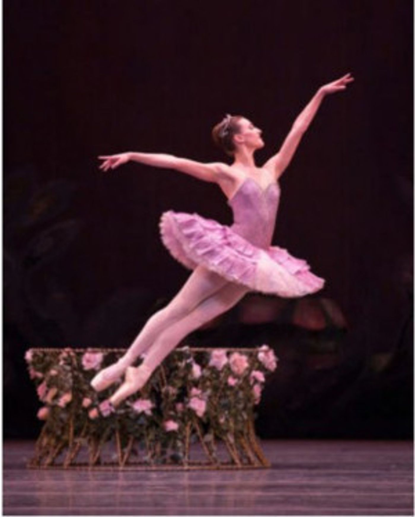 Review: ABT's Le Corsaire Proves the Classics Can be Modern Again  Image