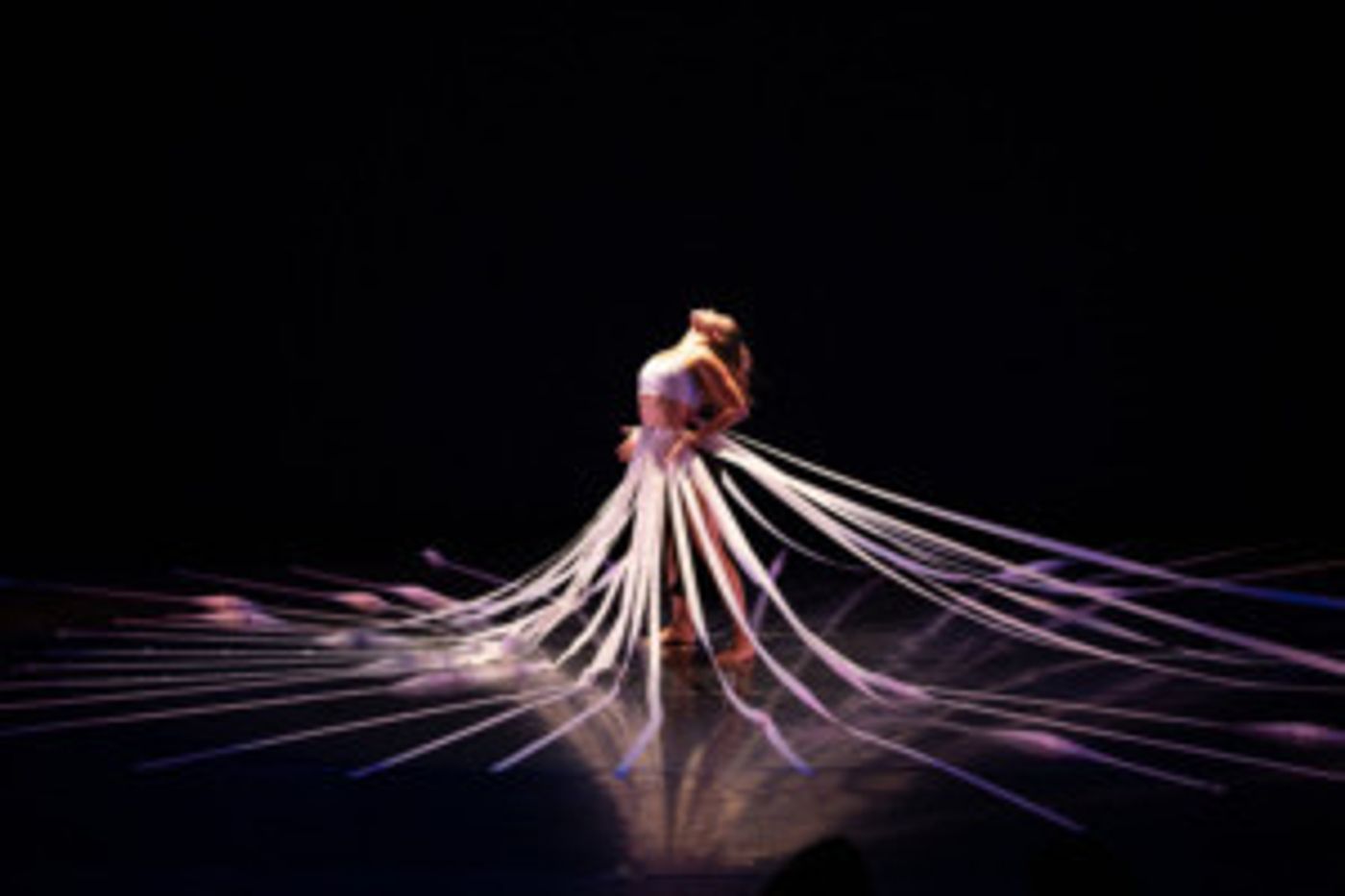 Harvest Chicago Announces 10th Festival Lineup  Image