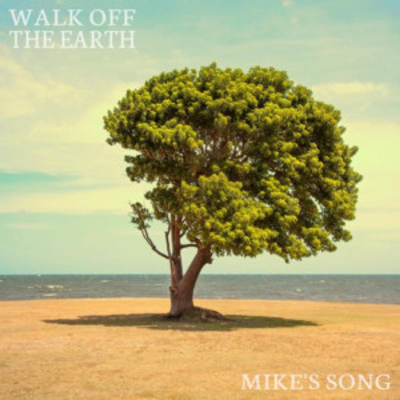 Check Out Walk Off the Earth's Touching Video For MIKE'S SONG  Image