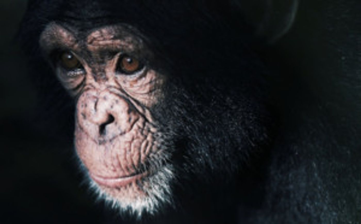 Review: Hilarious But Heartbreaking, TREVOR Holds An Important Message On Connection, Communication And How We Care For Creatures That Can't Speak Up For Themselves Review: Hilarious But Heartbreaking, TREVOR Holds An Important Message On Connection, Communication And How We Care For Creatures That Can't Speak Up For Themselves Image