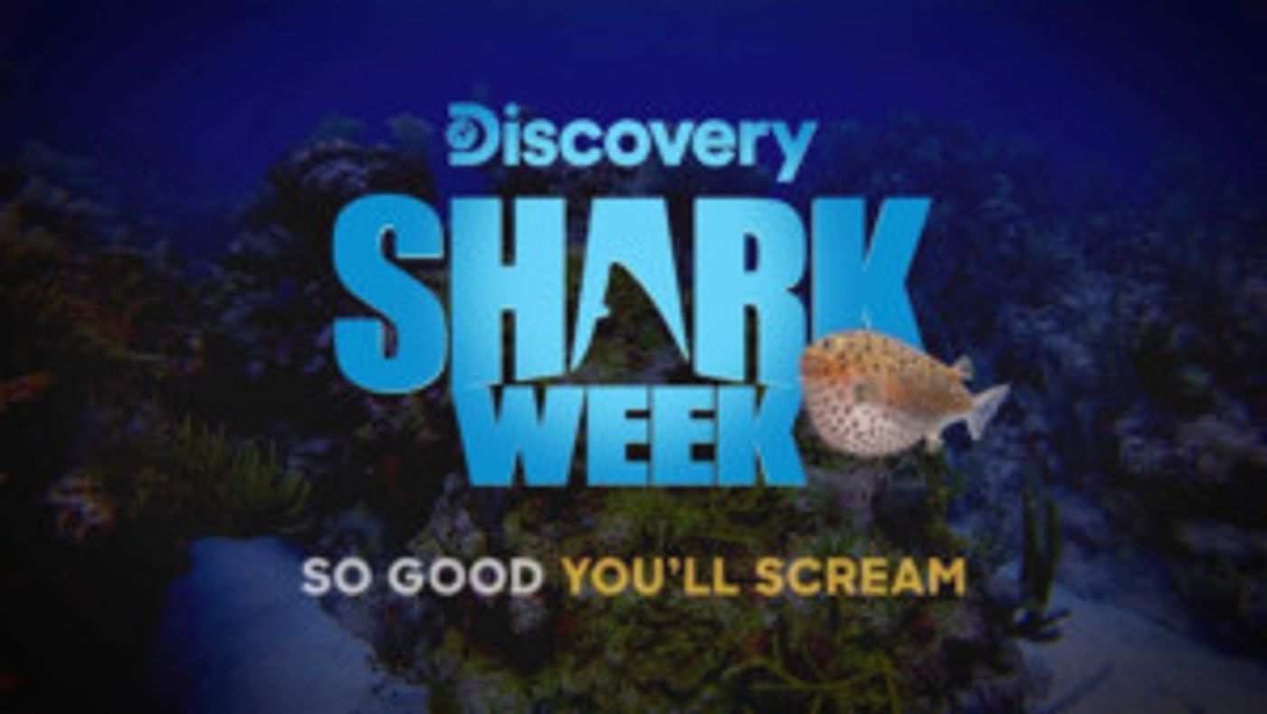 Rob Riggle Returns to SHARK WEEK with SHARK TRIP: EAT. PREY. CHUM  Image