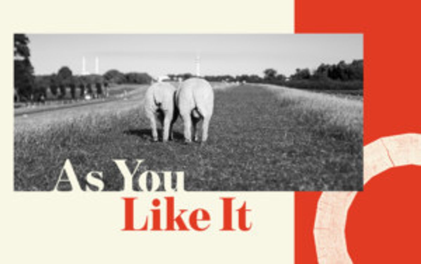 Shakespeare's Globe Announces Full Casting For AS YOU LIKE IT  Image