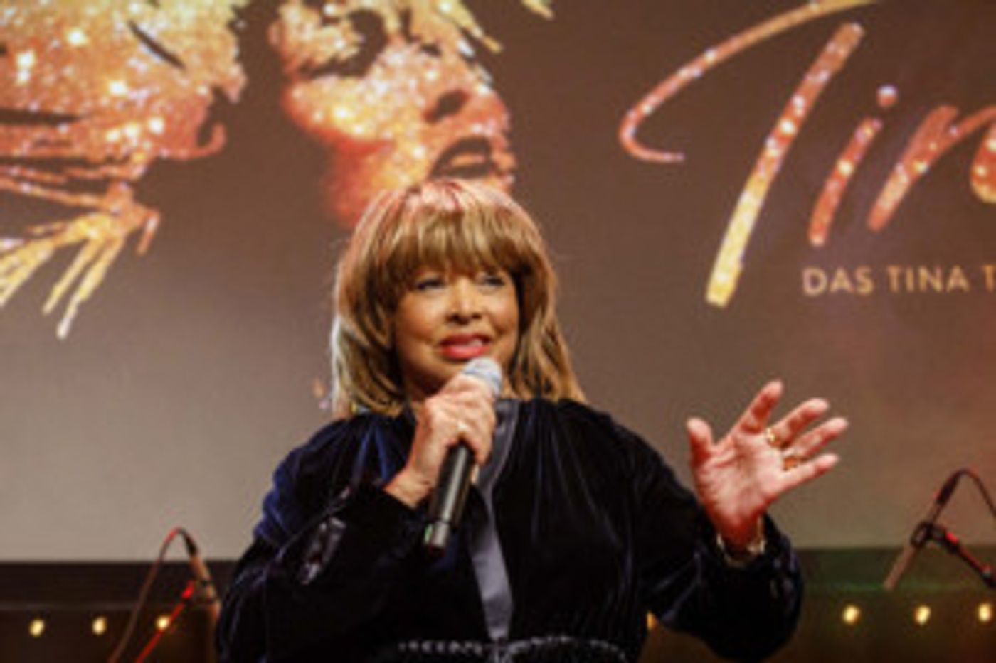 Tina Turner to Enter Memphis Music Hall of Fame  Image