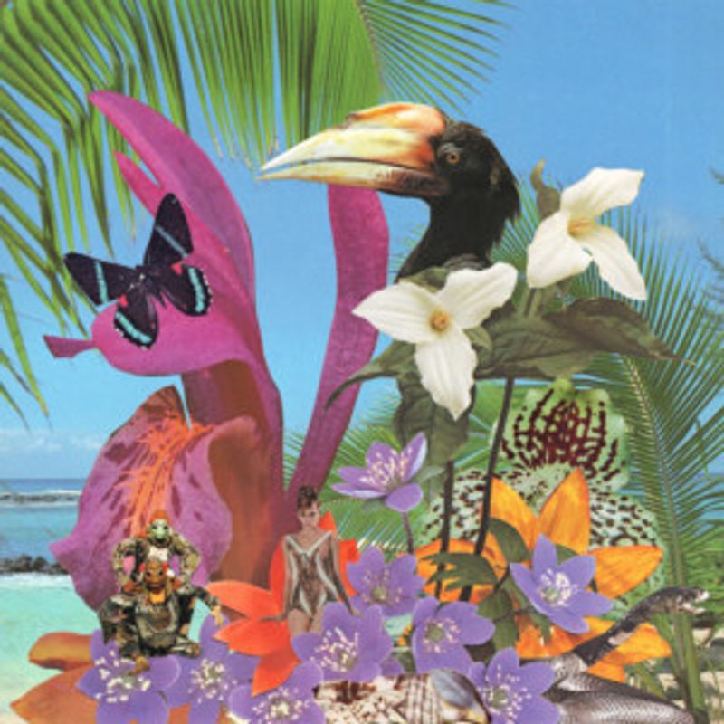 Monster Rally Announces New Album 'Adventures on the Floating Island' Image