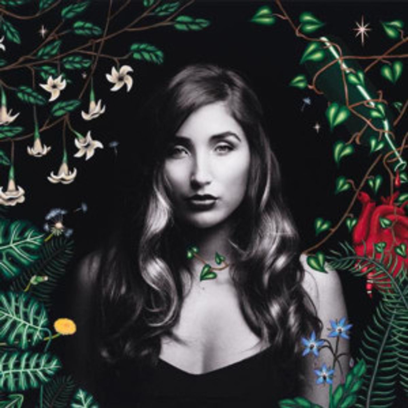 Jade Jackson Releases New Album WILDERNESS Today Jade Jackson Releases New Album WILDERNESS Today Image