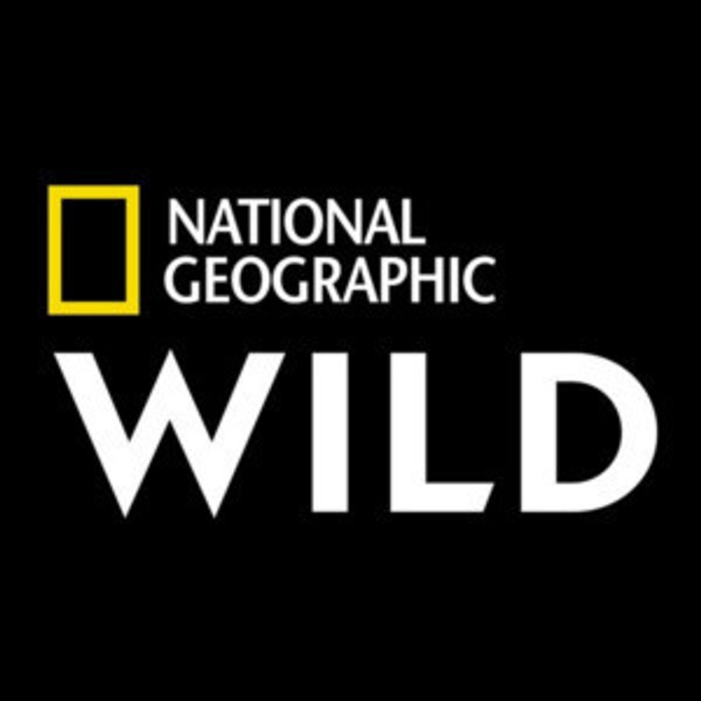 Nat Geo WILD to Premiere OUT THERE WITH JACK RANDALL  Image