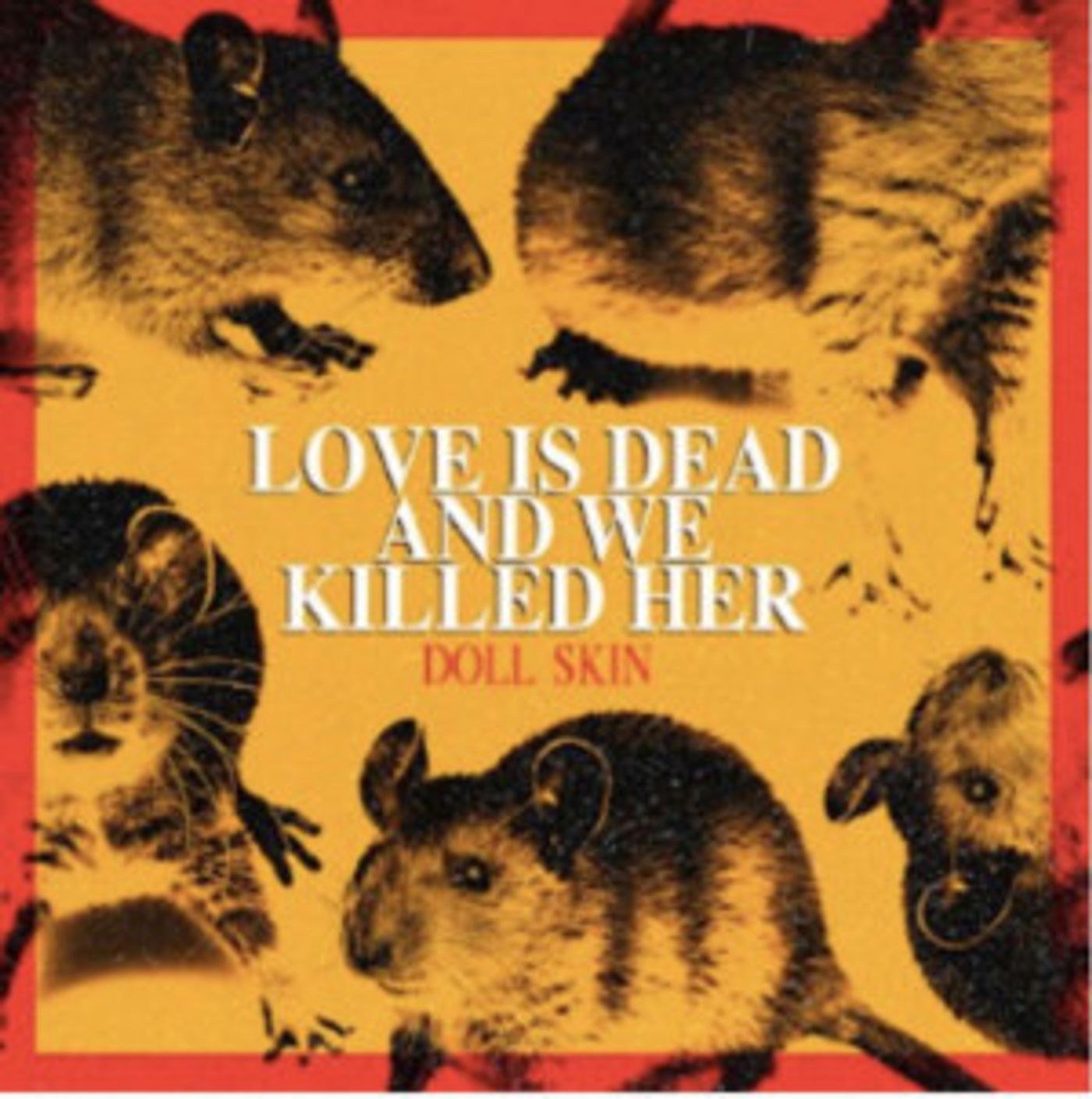 Doll Skin Share New Album 'Love Is Dead And We Killed Her'  Image