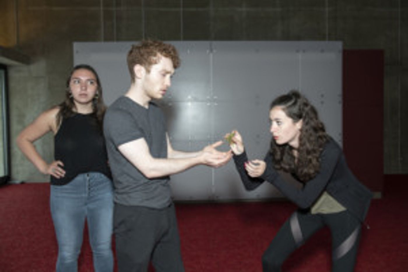 Hangar Theatre Company's KIDDSTUFF Series Presents JACK AND THE BEANSTALK Hangar Theatre Company's KIDDSTUFF Series Presents JACK AND THE BEANSTALK Image