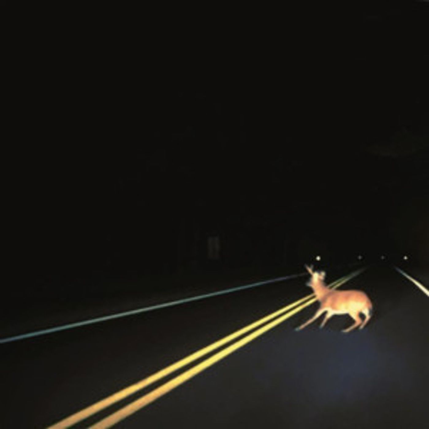 The Bright Smoke Share Third Album 'Gross National Happiness' The Bright Smoke Share Third Album 'Gross National Happiness' Image