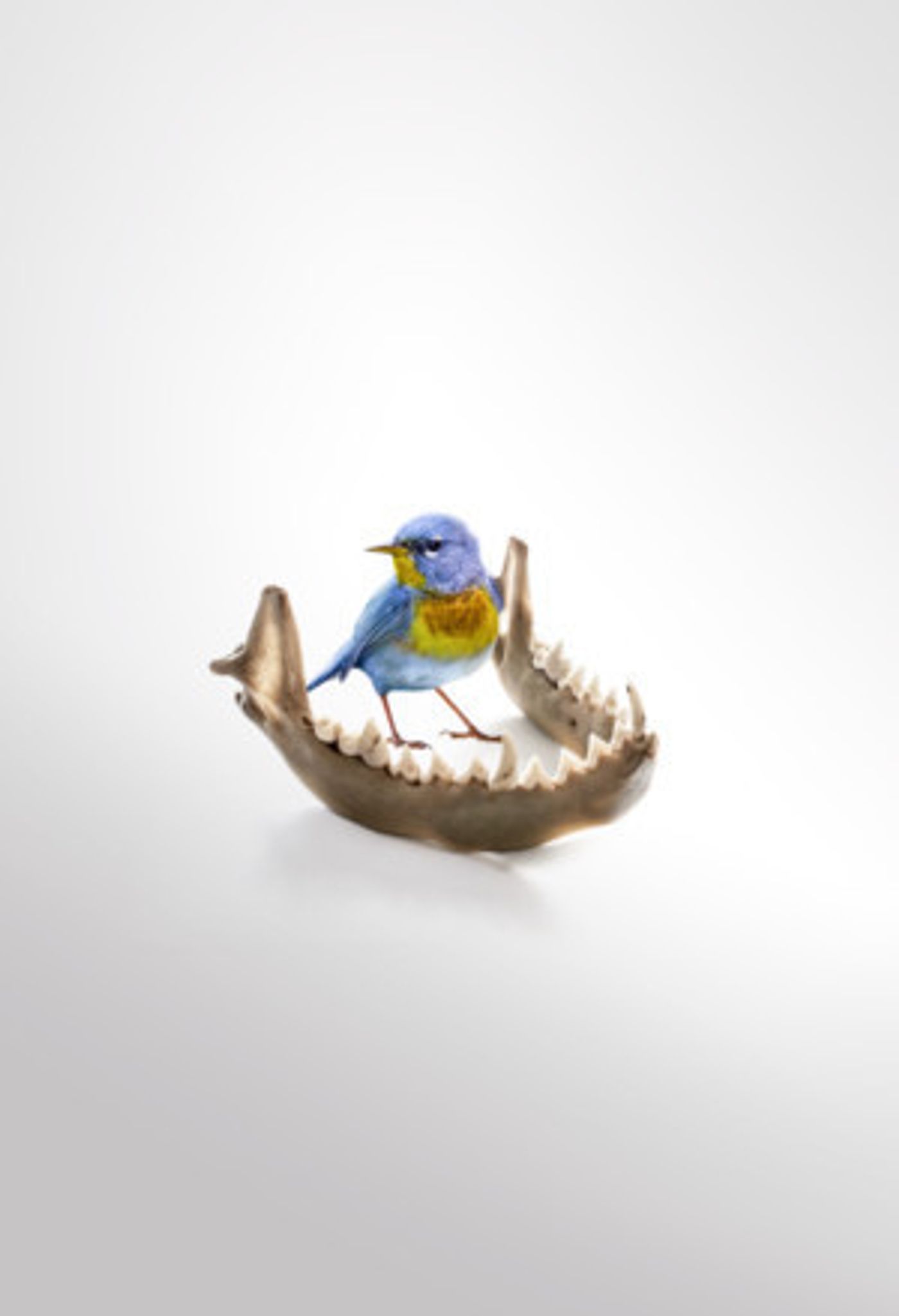 Full Cast Announced For The UK Premiere Of Lisa D'Amour's ANNA BELLA EEMA  Image