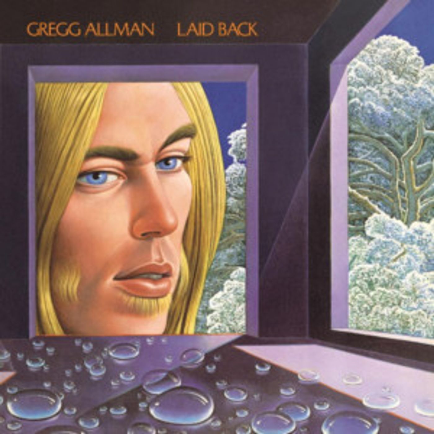 Gregg Allman's Debut Solo Album LAID BACK To Be Reissued With Rarities Gregg Allman's Debut Solo Album LAID BACK To Be Reissued With Rarities Image