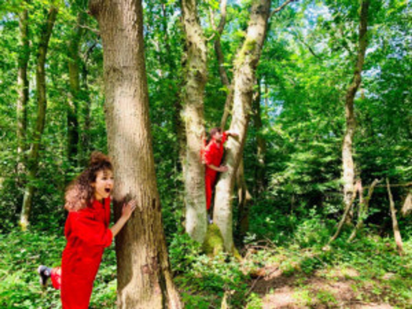 New Outdoor Multi-Arts Programme WONDER WOODS Launches in Nottingham  Image