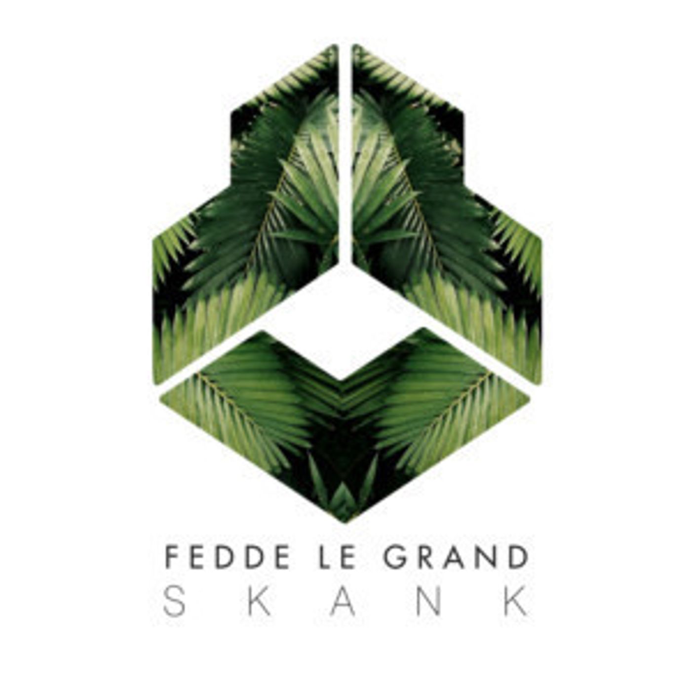 Fedde Le Grand Delivers Explosive New Single SKANK  Image
