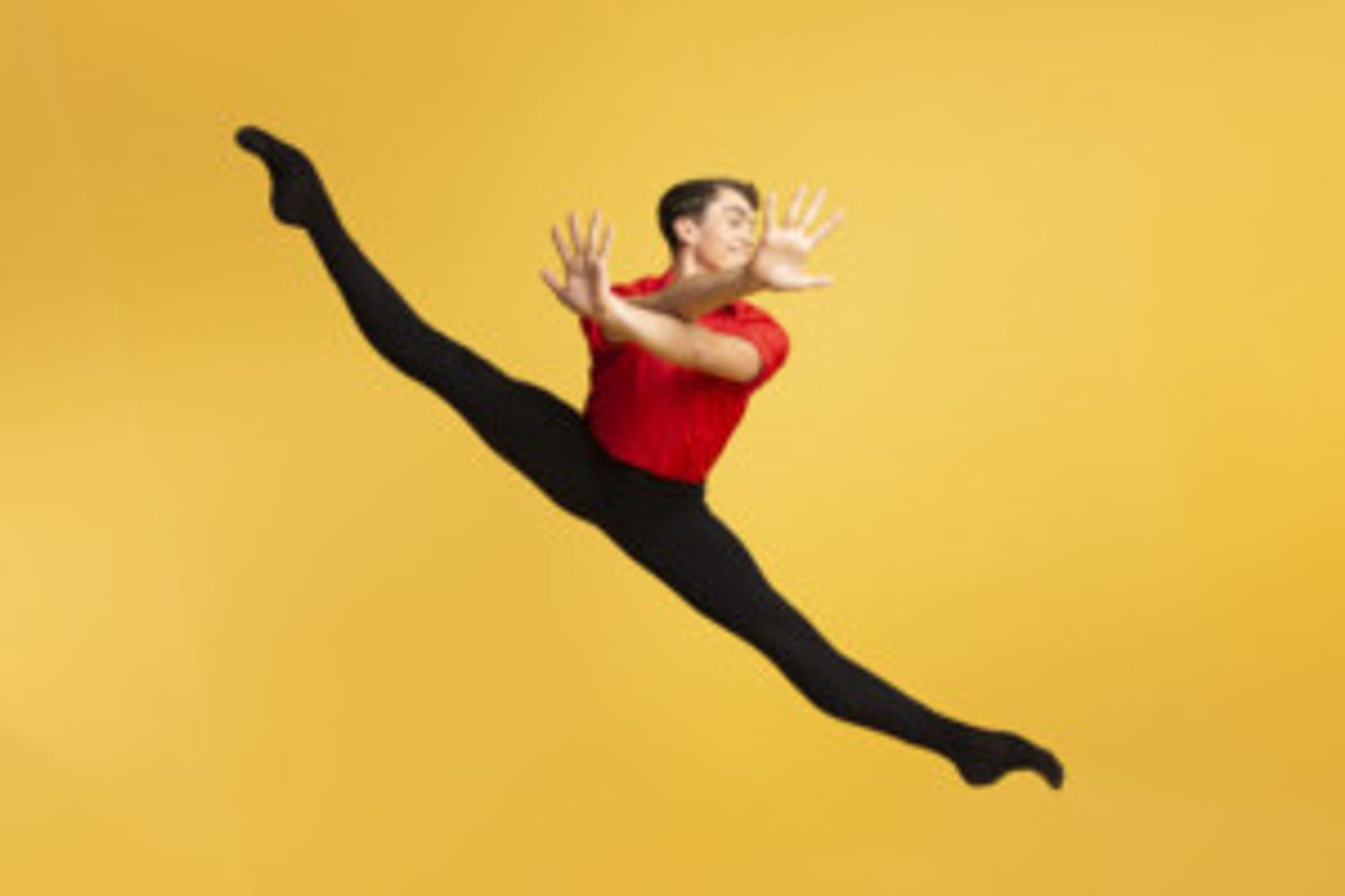 National Youth Ballet Announces 2019 Season: Wonderlands  Image