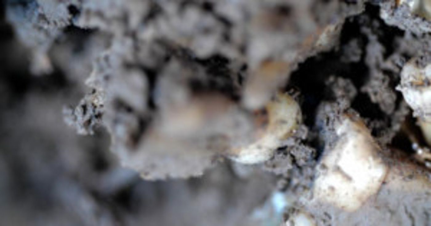 The Rose Art Museum Announces It Will Now Be Open Year Round  Image