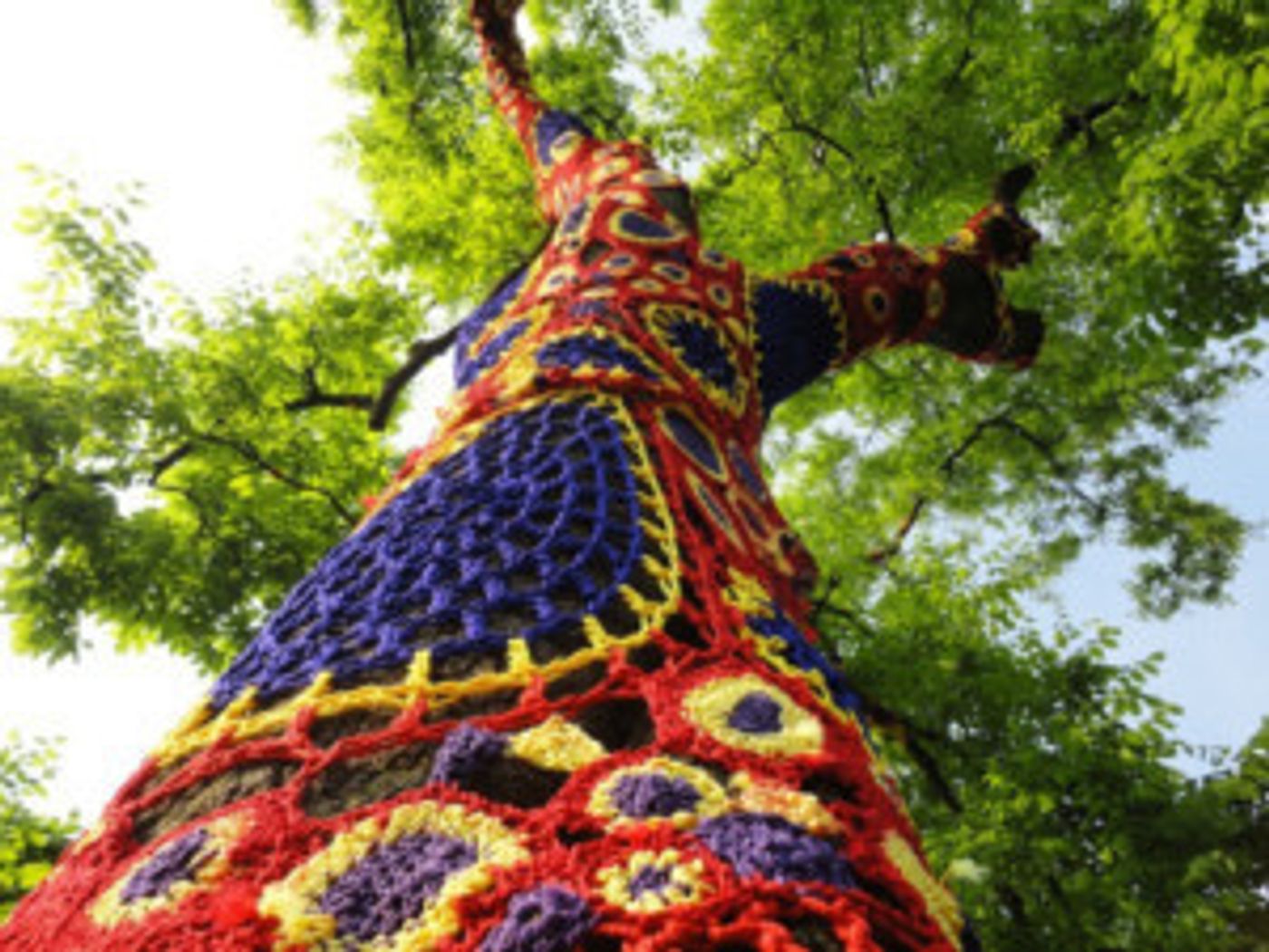 Art Installation In Bindy Bazaar Woods To Open To Public On June 29  Image