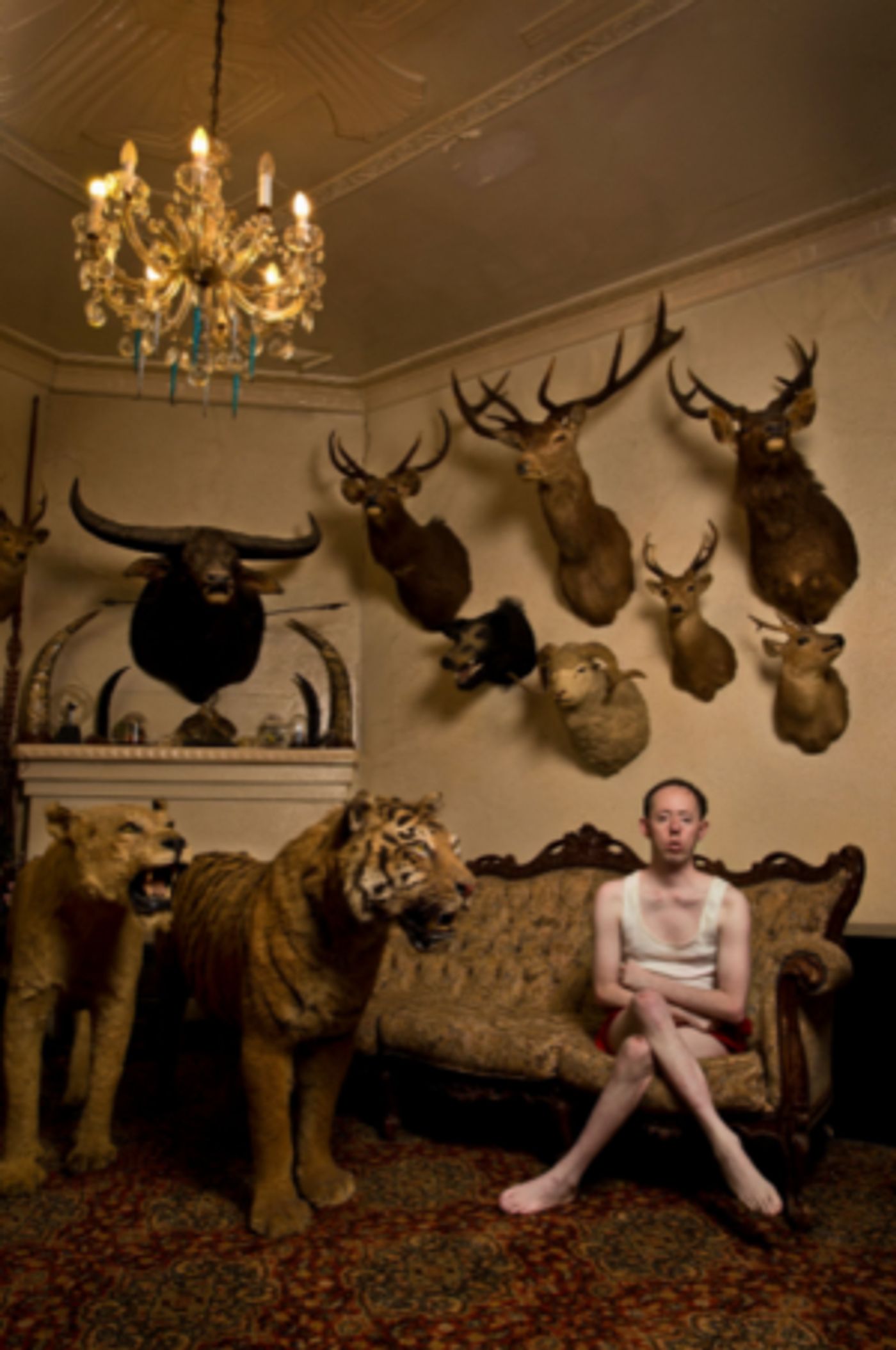 Carriageworks And Back To Back Theatre Present World Premiere Of THE SHADOW WHOSE PREY THE HUNTER BECOMES  Image