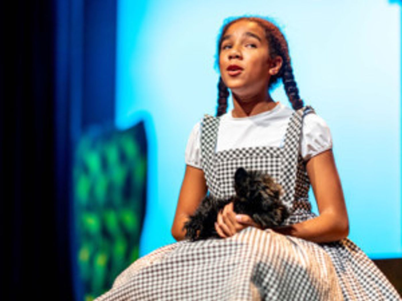 Gulfshore's Star In A Show Program With Production Of THE WIZARD OF OZ  Image