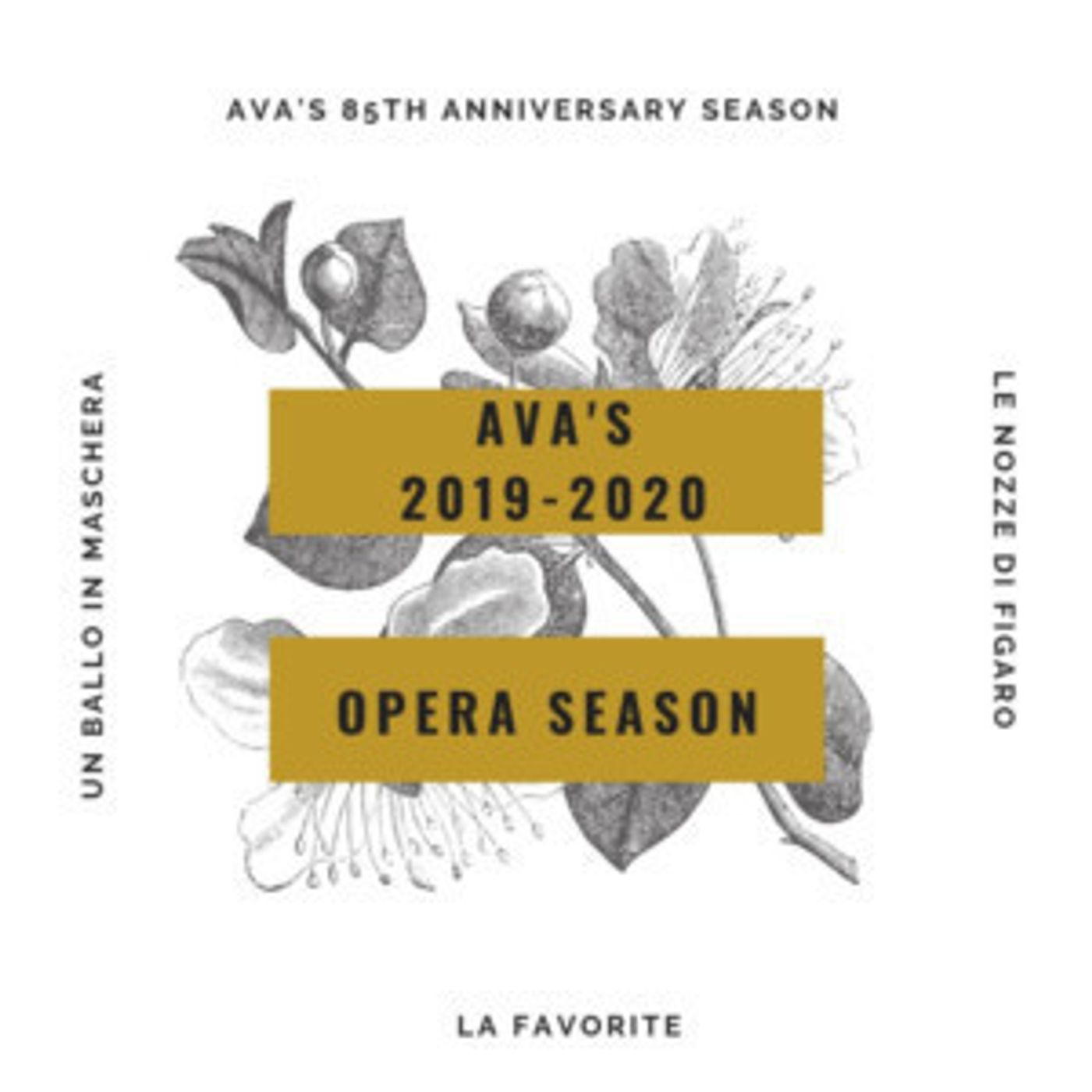 Academy Of Vocal Arts Announces 2019-2020 Performance Season  Image