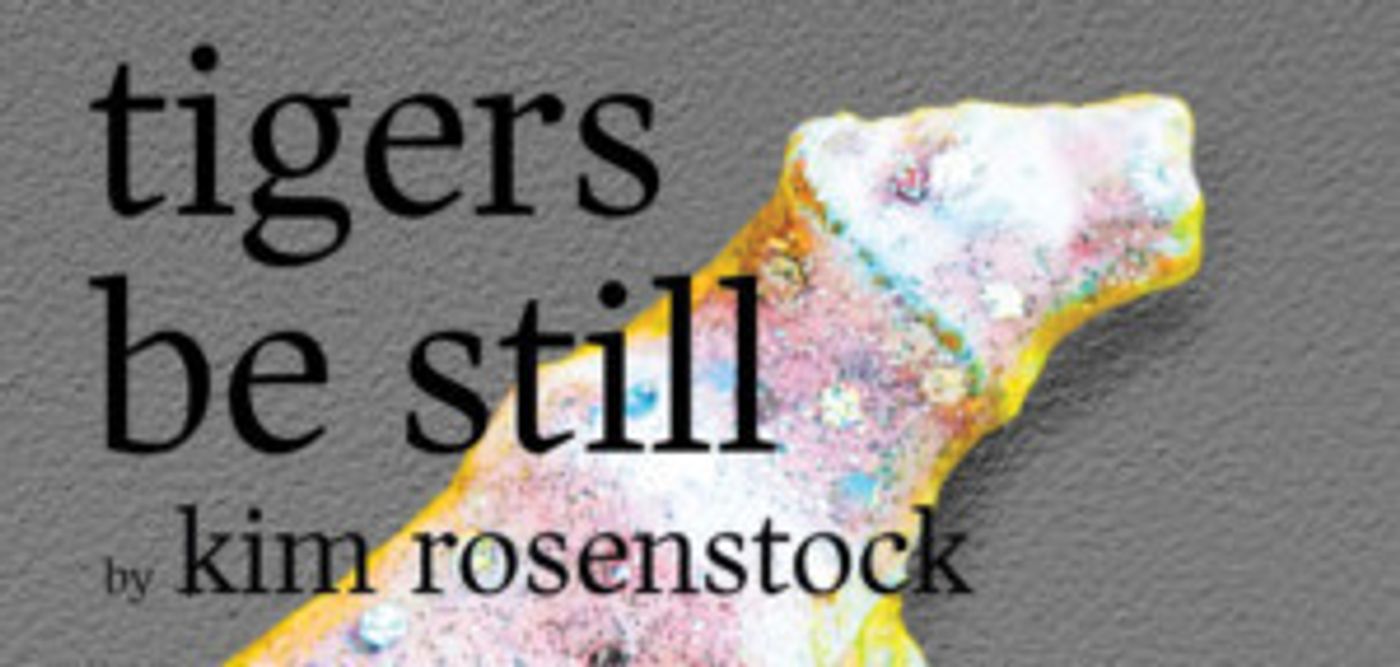 Outpost Rep Performs TIGERS BE STILL In Lubbock  Image