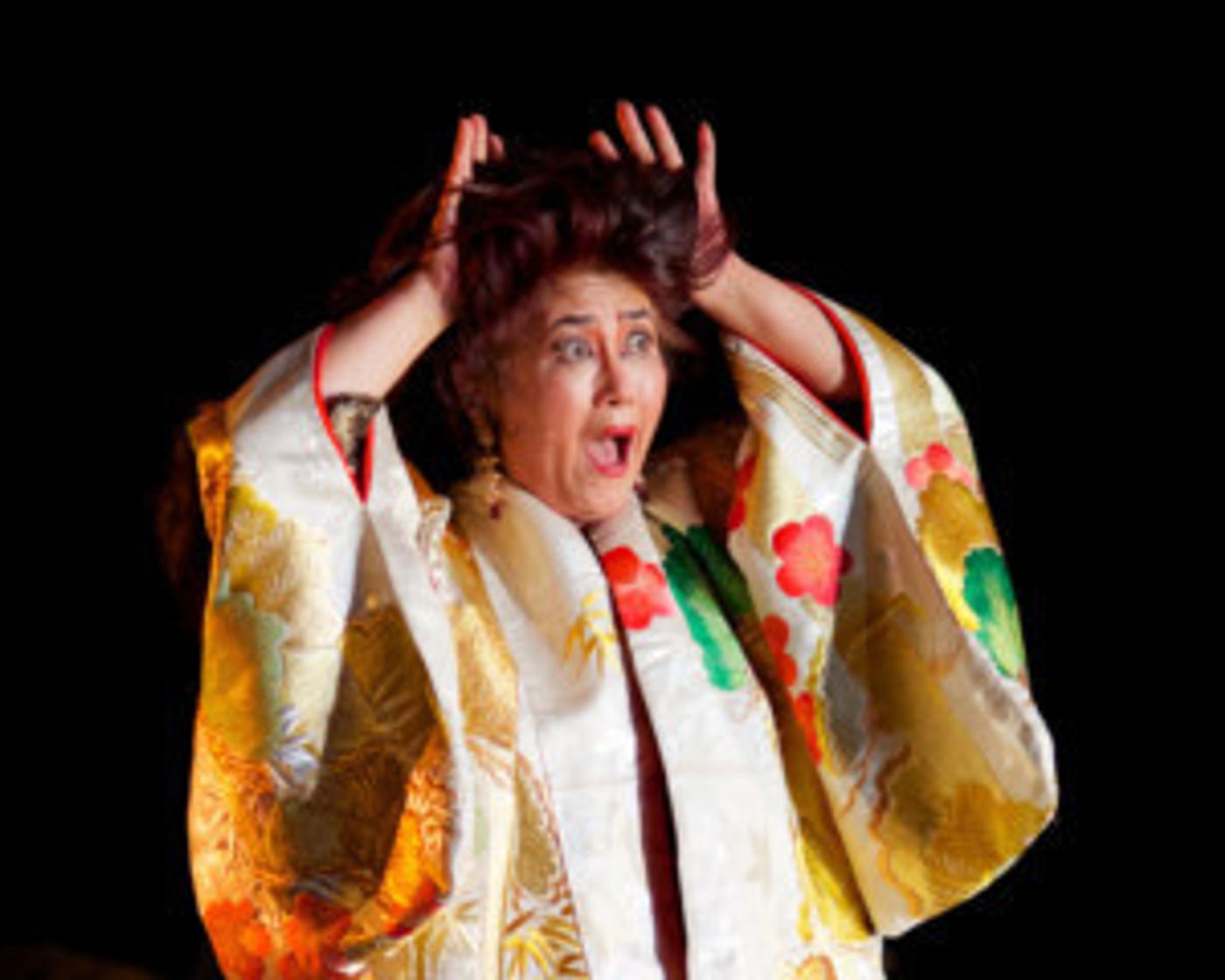 Playwright Brenda Wong Aoki Selected As Recipient Of The 2019 Map Fund For New Works  Image