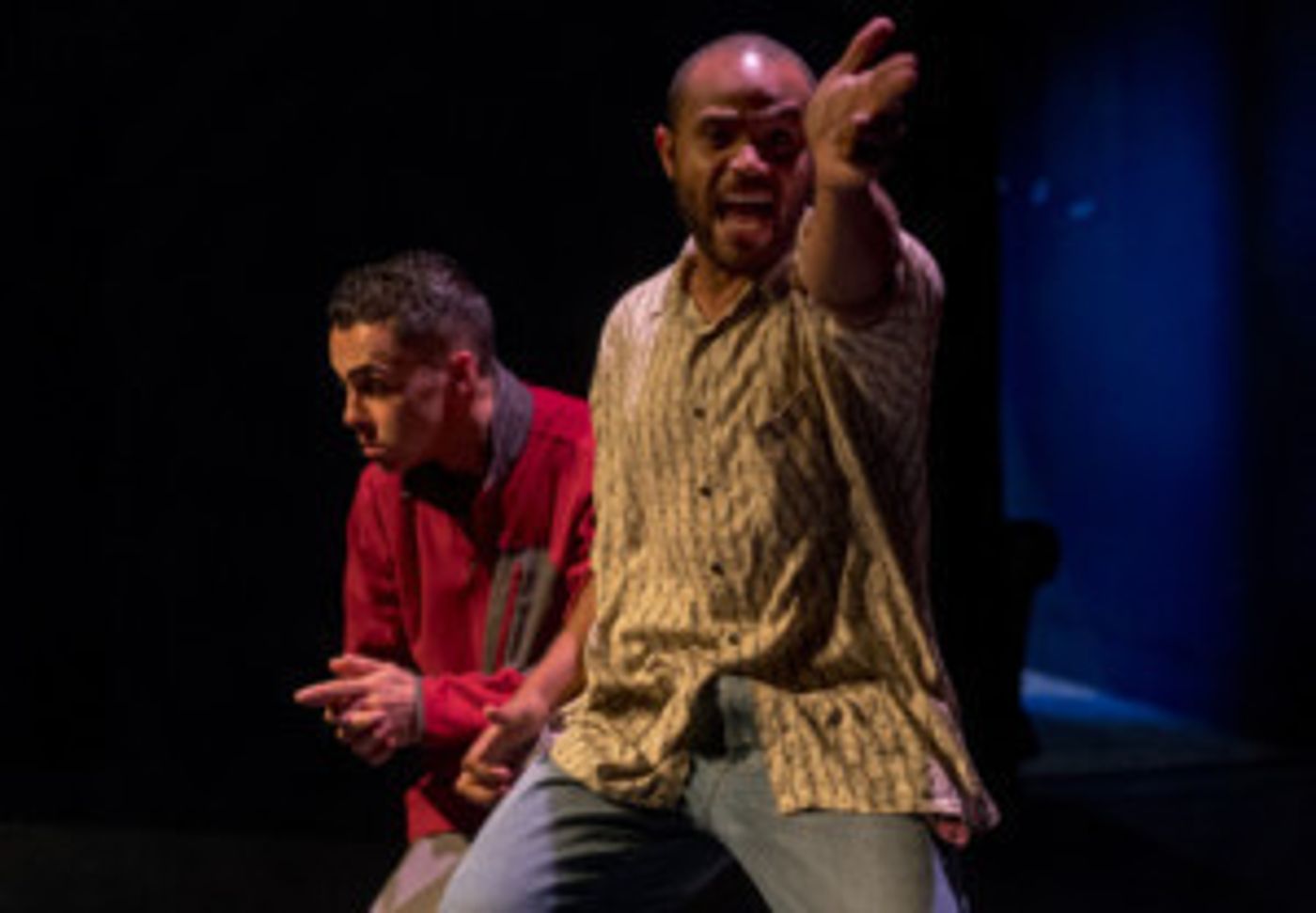 Annual OUT ON A LIMB New Play Festival Announced At SRT  Image