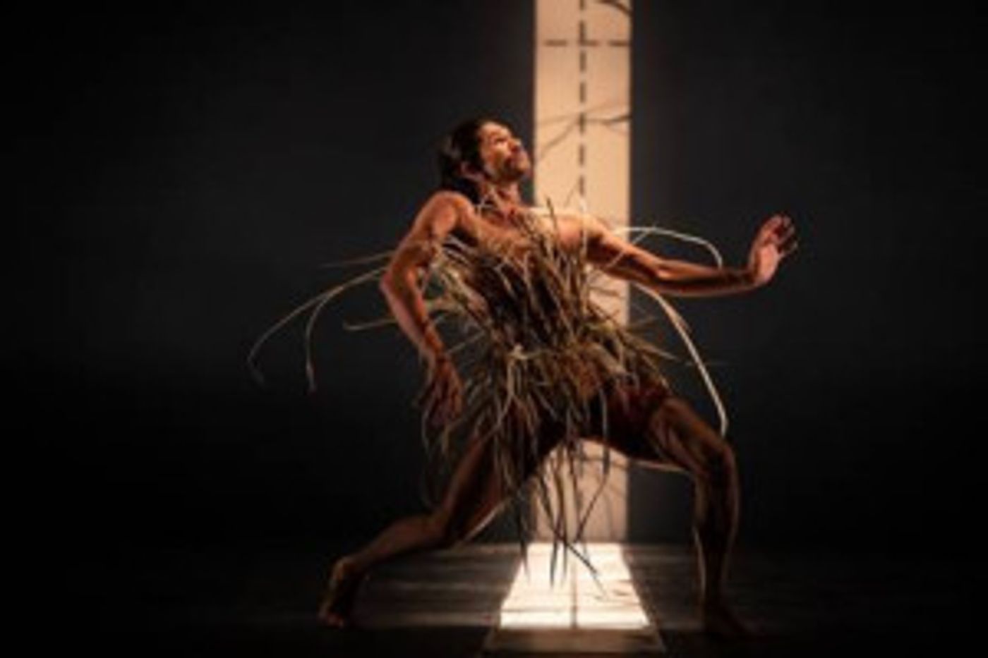 QPAC Presents Bangarra's Landmark 30th Anniversary Season  Image