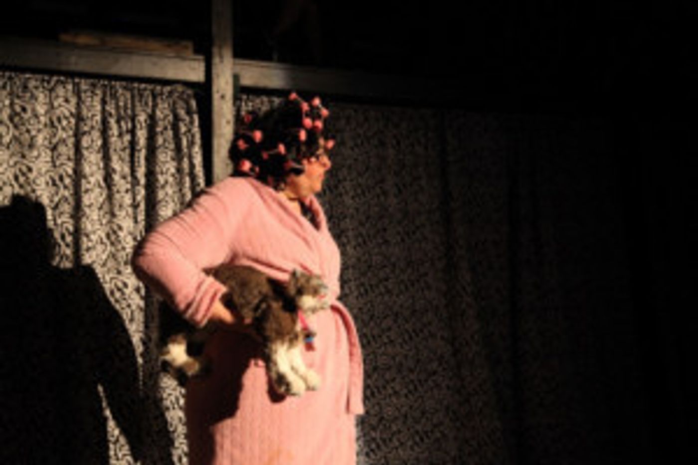 A CAT FEST! Returns To Chicago This August At The Hairpin Arts Center  Image