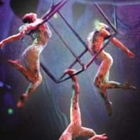 Review - Cirque Dreams Jungle Fantasy: Somewhere That's Green