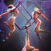 Review - Cirque Dreams Jungle Fantasy: Somewhere That's Green