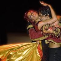 Review - Burn The Floor: So You Think You Can Sit Through This
