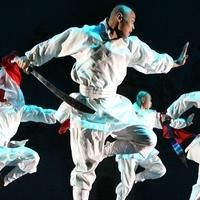Review - Soul of Shaolin: Everybody Was... Oh, You Know