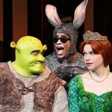 Review - Shrek: Come Look At The Freaks
