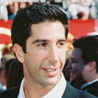 David Schwimmer Annouces Engagement to Zoe Buckman