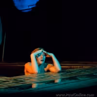 Sydney Theatre Company Announces Their 2010 Season; Blanchett And Hoffman To Direct…