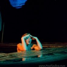 Sydney Theatre Company Announces Their 2010 Season; Blanchett And Hoffman To Direct P