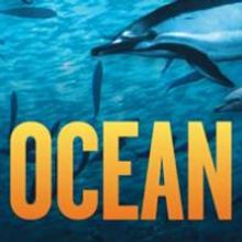 STOMP Makes Waves With New Movie WILD OCEAN For World Ocean Day 6/8