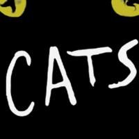 'CATS' Purrs at the Hippodrome Theatre