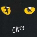 ANNIE, CATS, WEDDING SINGER Set for Musical Theatre West in 2010-2011