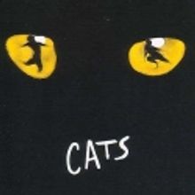 ANNIE, CATS, WEDDING SINGER Set for Musical Theatre West in 2010-2011