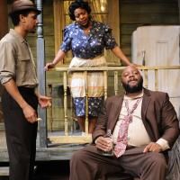 Photo Flash: FENCES At Performance Network Theatre