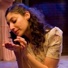 BWW Reviews: THE GLASS MENAGERIE at The Gamm Theatre
