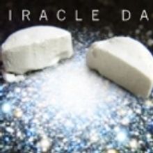 MIRACLE DAY Extends Run at 45 Bleecker Street Theatre