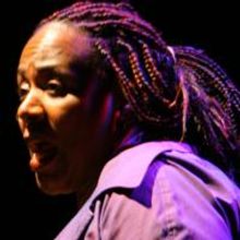 Goodman's 'STOOP STORIES' a Poetic, Yet Hasty, Tour of Manhattan