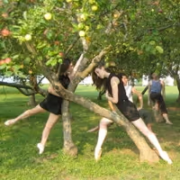 Symphony Space Presents Ballet: Uptown Downtown/Today and Tomorrow 5/6-8