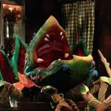 LITTLE SHOP OF HORRORS: Long Beach Is Somewhere That's Green